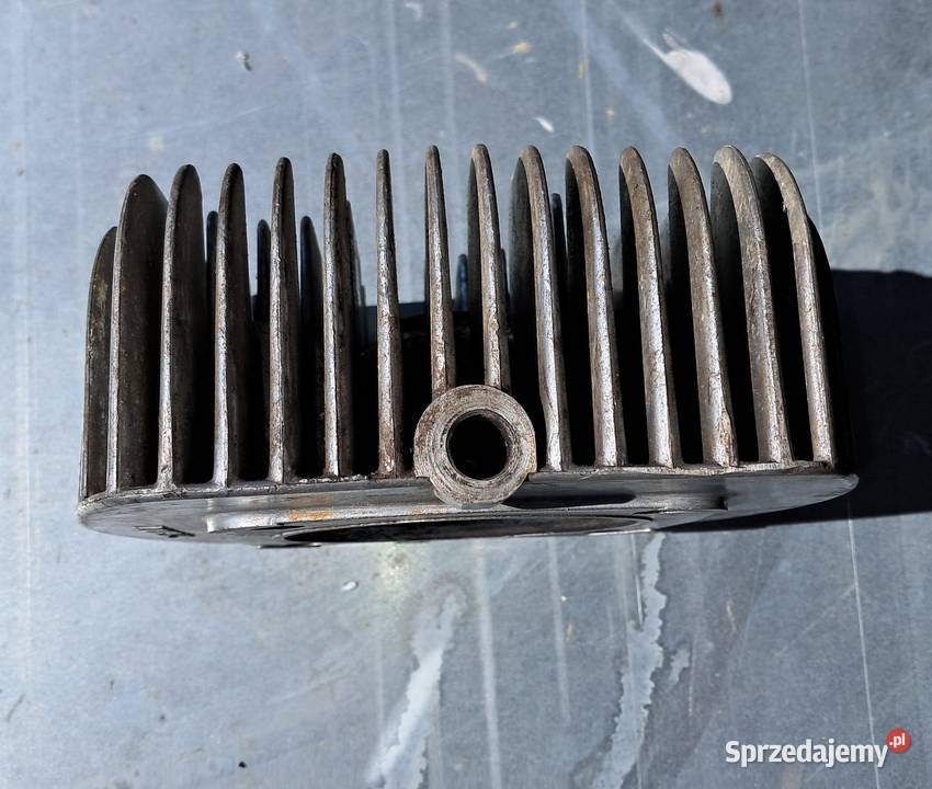 Głowica Wsk dzik podkarpackie Jasło