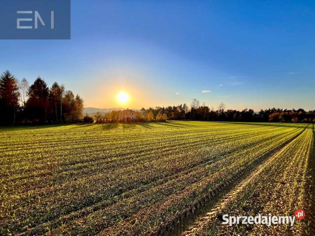 sprzedaży działki 2159m2 Gbiska