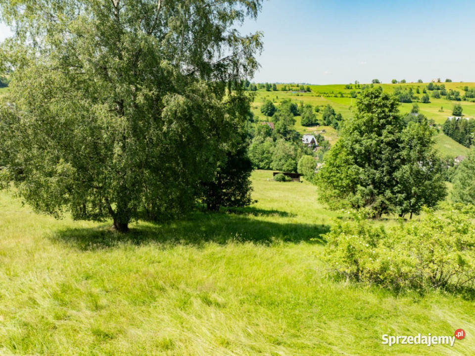 Pakiet działek w Brzegach jako lokata kapitału 36zł/m2 Brzegi