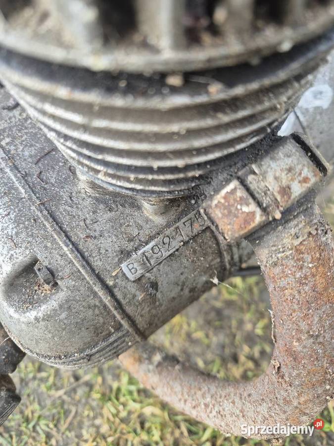 Komar sztywniak 100km Jaworzno sprzedam