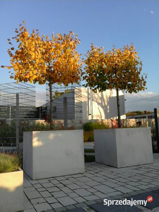 Betonowa donica Jumbo dolnośląskie Świdnica