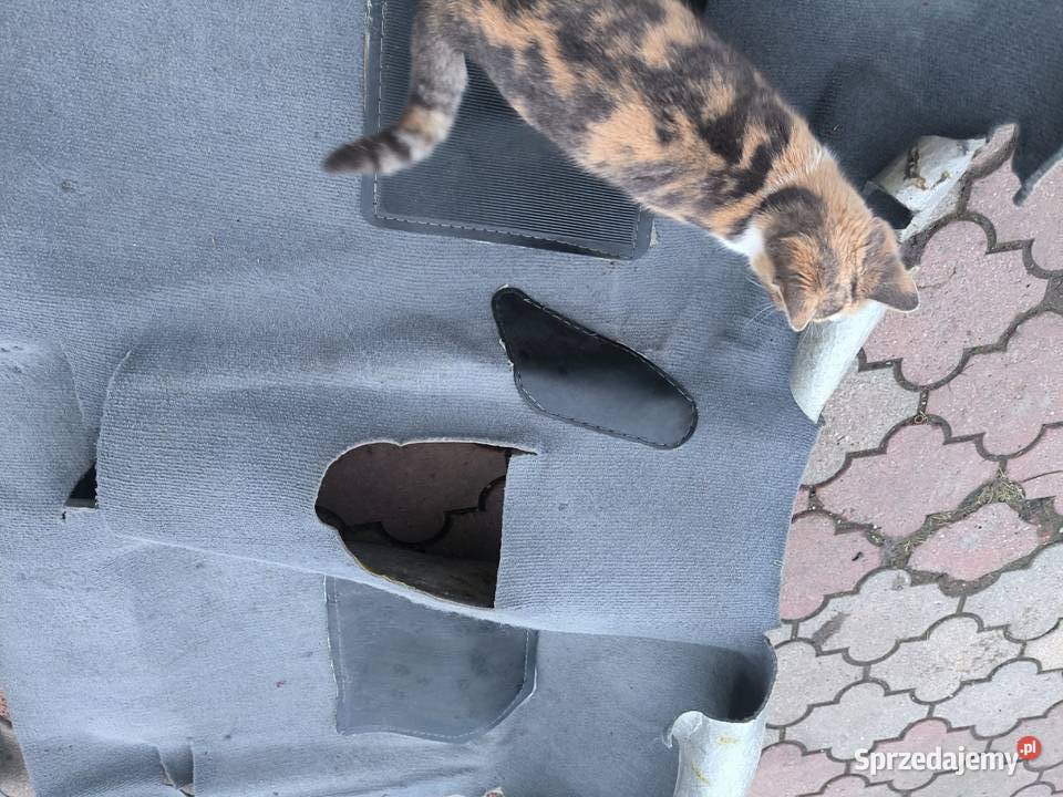 Fiat 125p wykładzina podłogamaty wygłuszające osobowe Stalowa Wola