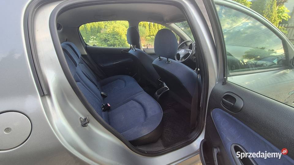 Peugeot 206 Jezioro