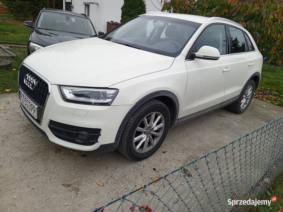 Audi Q3 Suchy Las