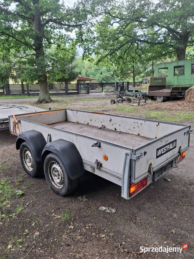 Przyczepa dwuosiowa westfalia 300x140 Krosno Odrzańskie
