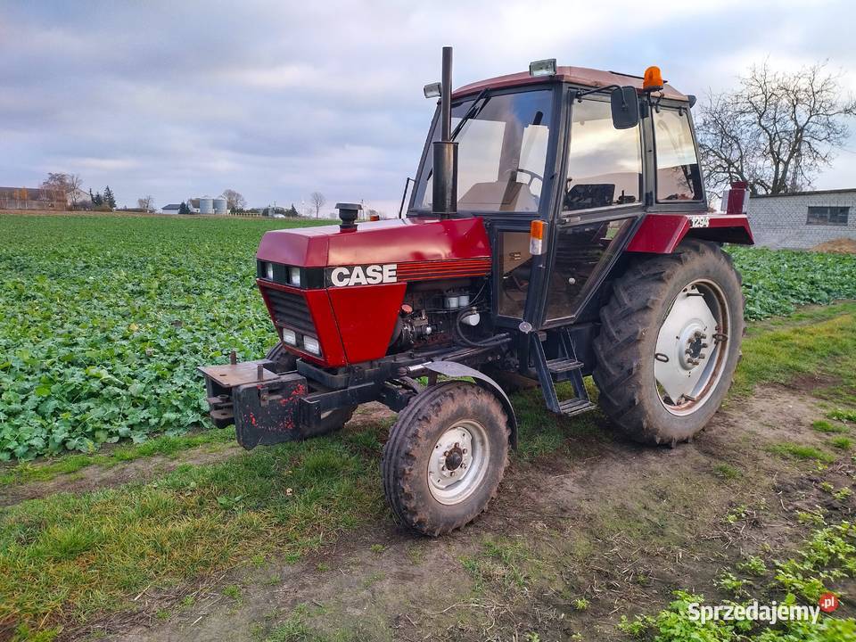 Case IH 1294 70 ZADBANY FILM Wola Bachorna