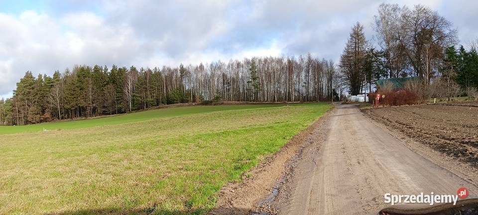Dom w Donimierzu k Szemuda na dużej dzialce Donimierz