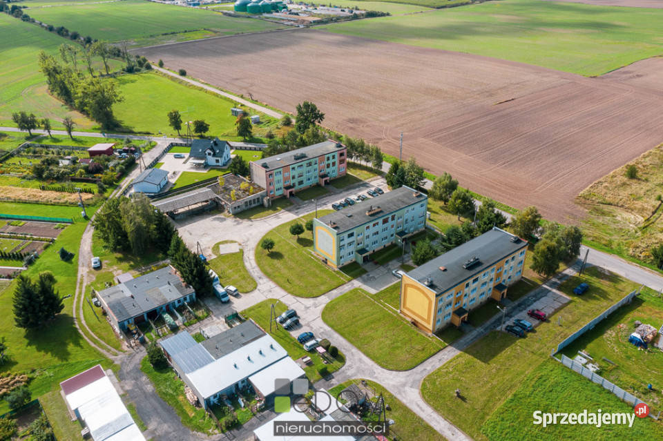 sprzedaży mieszkania Brzoza 635m2 3pok