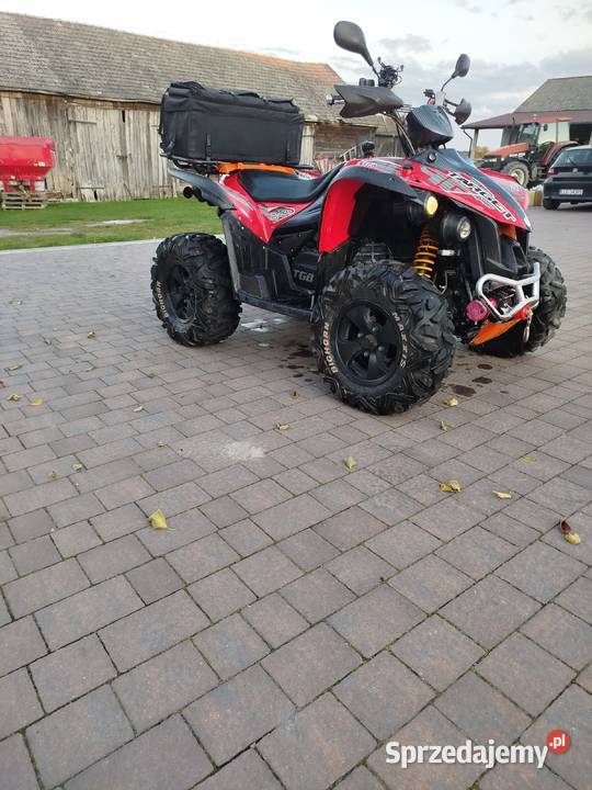 Tgb target 550 2013 Cyców