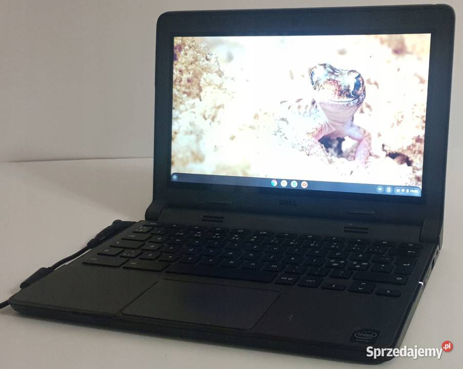 Laptop Dell Chromebook 11 116 Intel Celeron N Warszawa