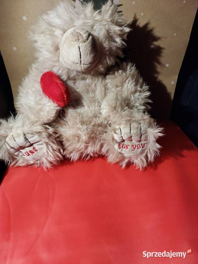 Miś z sercem Maskotki Wrocław