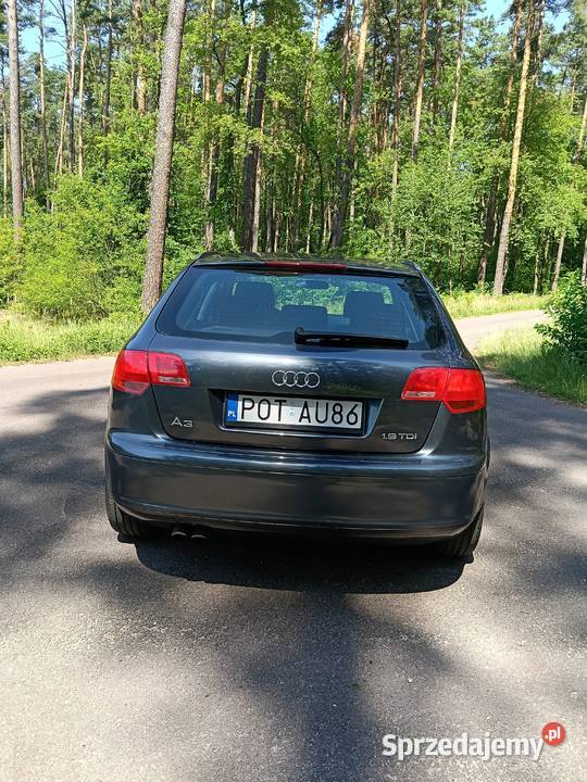 Audi A3 8P Sportback 19 TDI 105 BXE Prywatne manualna Ostrzeszów