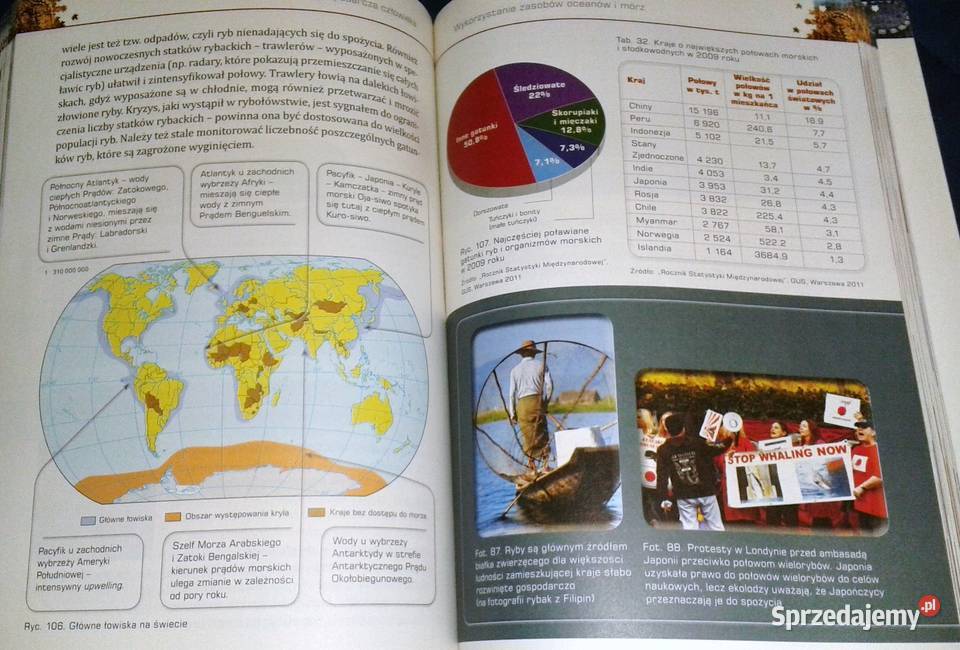 Geografia maturzysty Część 2 Podręcznik J Kop M sprzedam
