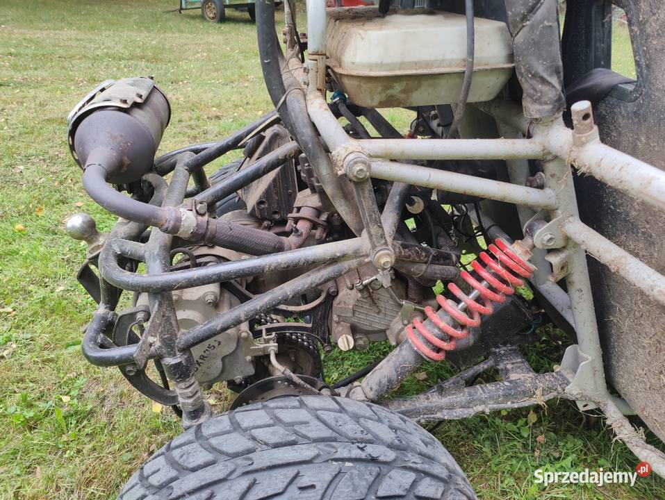 Buggy 250 Pozostałe Poniaty Wielkie