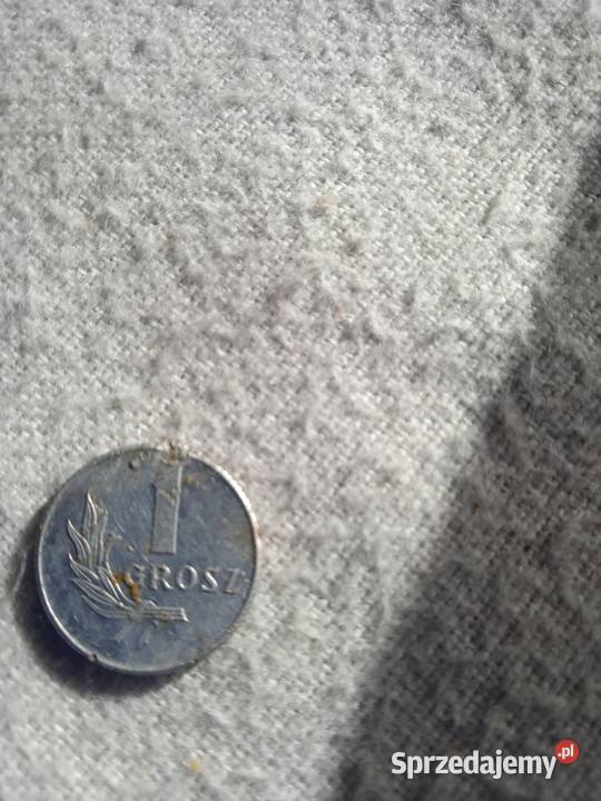 1 grosz z 1949 roku Pozostałe Nowy Sącz