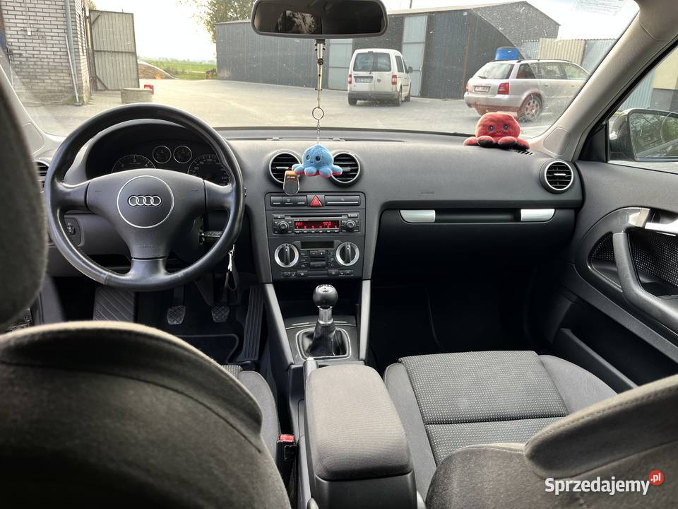 Audi a3 8p 19 tdi 105KM Andrzejewo
