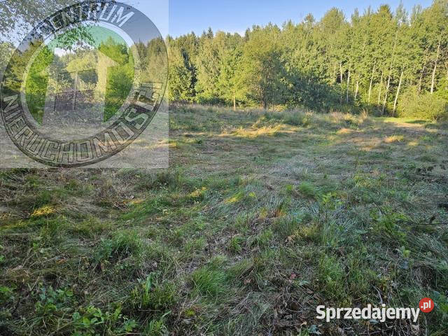 sprzedaży działki Mystków 9500m2