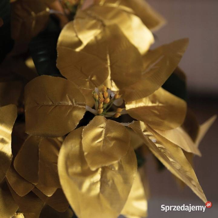 Kwiaty sztuczne GWIAZDA BETLEJEMSKA 45 Jasło