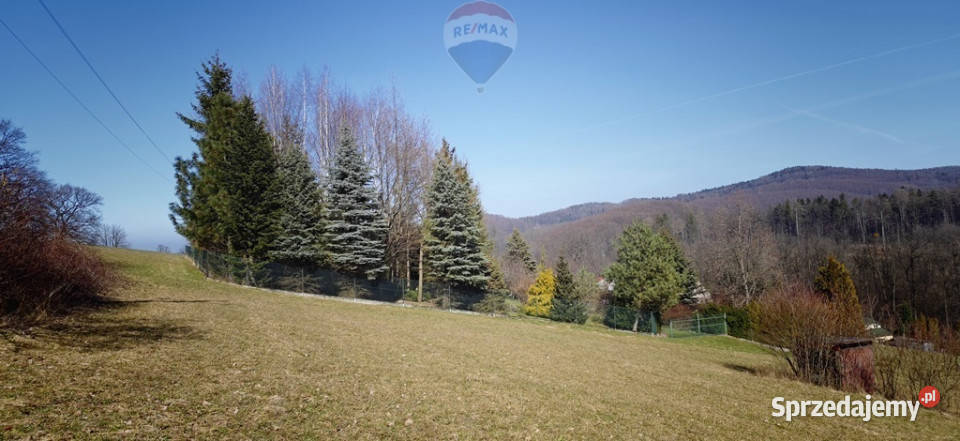 Działka budowlana pod lasem Sprzedaż Dzięgielów