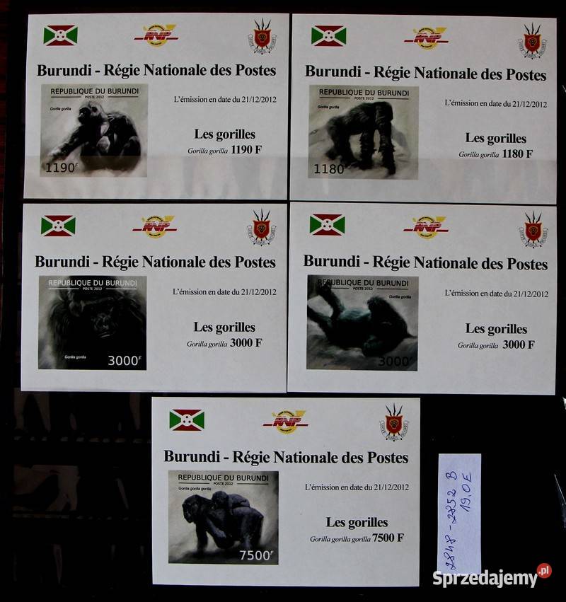 Burundi Oborniki sprzedam