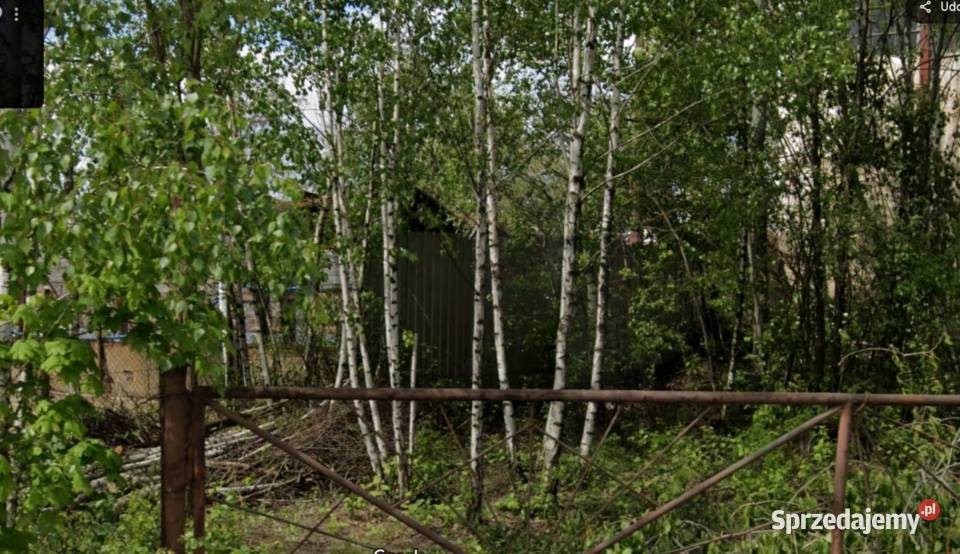 Drewno opałowe liściaste Żarów