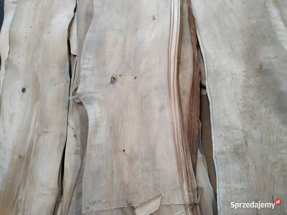 Fornir okleina naturalna olcha Brzeźno