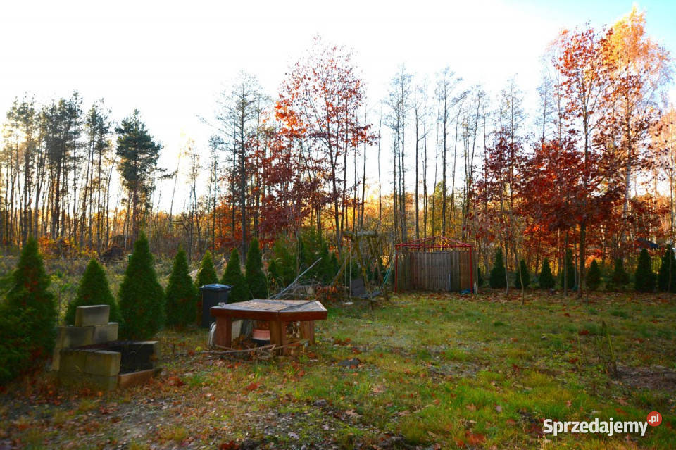 sprzedaży działki 594m2 Majdan Zahorodyński sprzedam