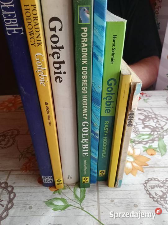 gołębie literatura Wilczyna sprzedam