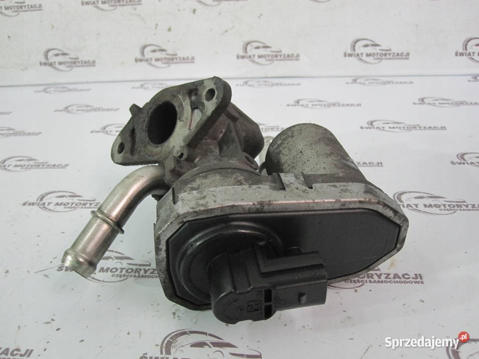 FORD TRANSIT 22 TDCI P8FA 85 09r zawór EGR świętokrzyskie