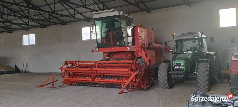 Bizon z056 Sierakowy sprzedam