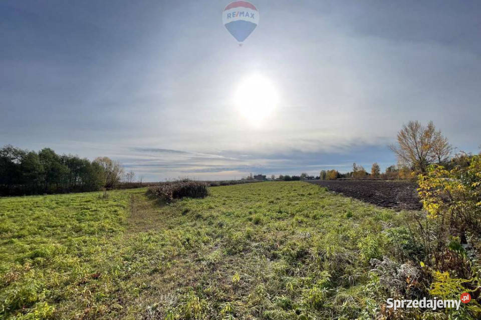Działka 1501m2 Kłudno Nowe gm Grodzisk