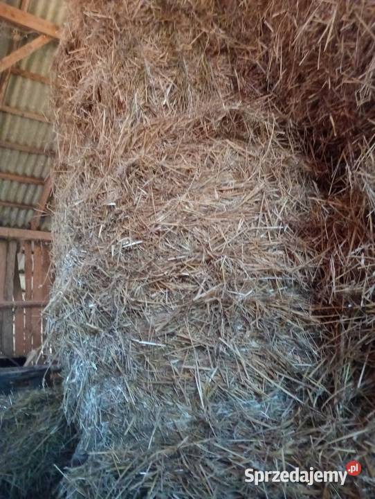 Sprzedam siano słome