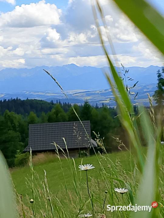 Domek w górach do wynajęcia Nowy Targ Zakopane Obidowa sprzedam