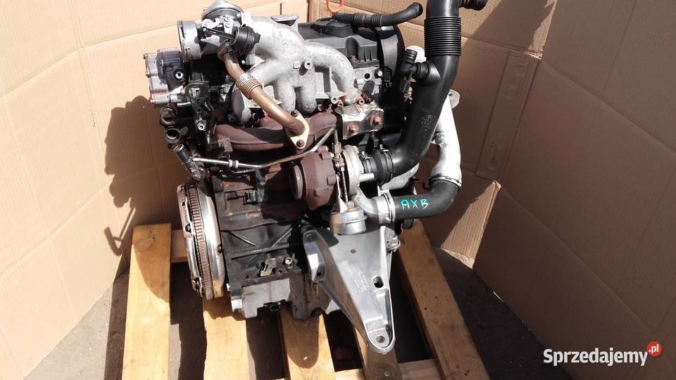 Silnik Volkswagen T5 19 TDI AXB 105 kujawsko-pomorskie sprzedam