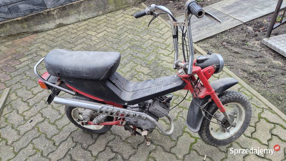 Motorynka stella zarejestrowana