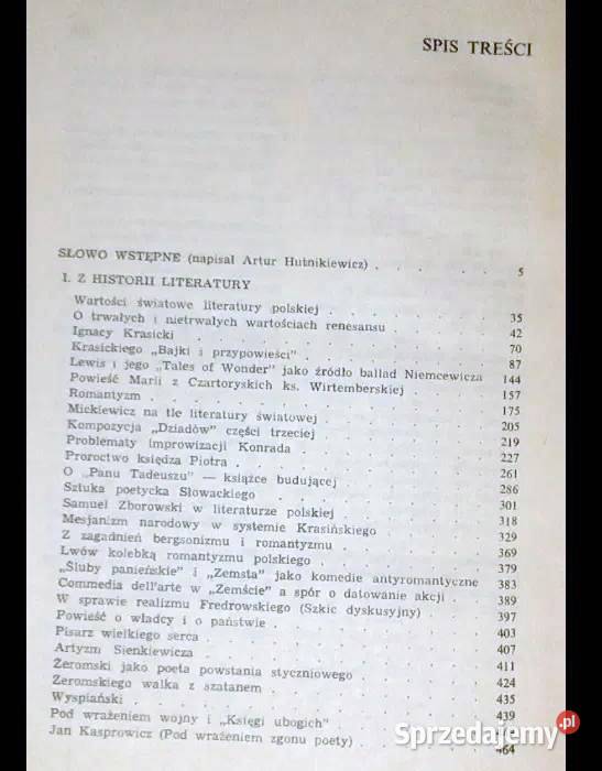 W kręgu historii i teorii literatury Juliusz Rok wydania 1981 Chełm