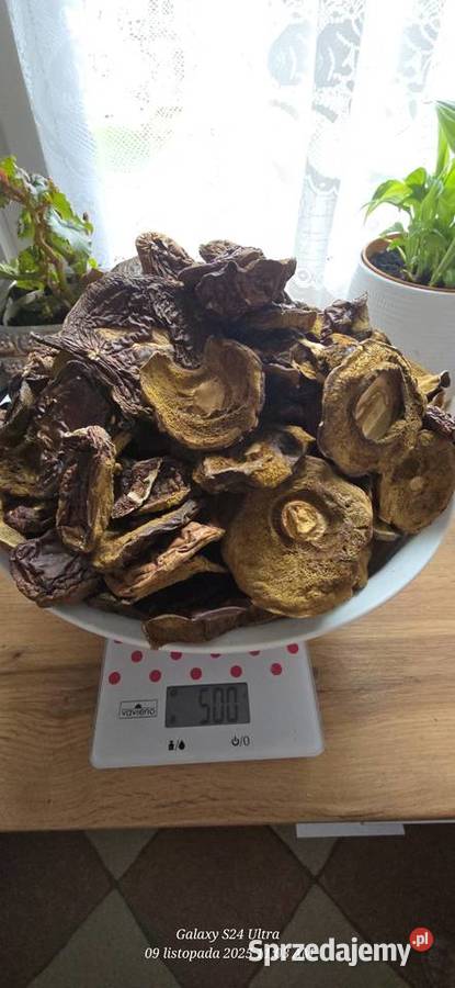 Sprzedam Grzybki suszone