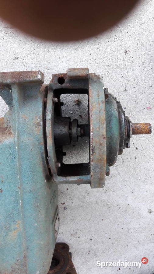 Pompa do wody Sarzyna