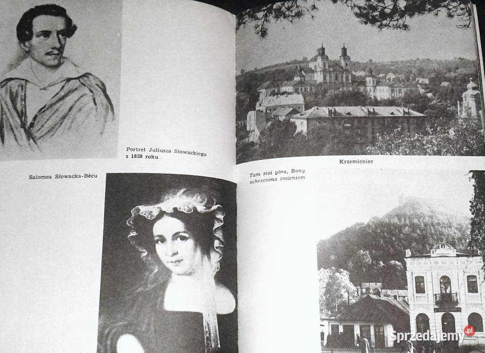 Malwy na lewadach Barbara Wachowicz