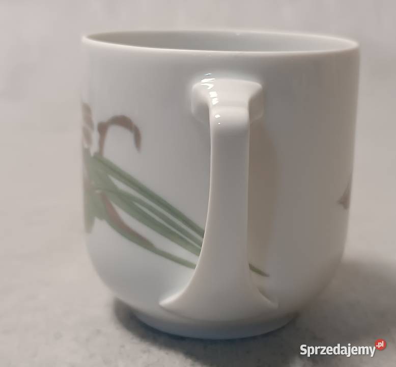 Rosenthal Filiżanka DONATELLO Duet Irys Jugend Porcelana i szkło zachodniopomorskie sprzedam