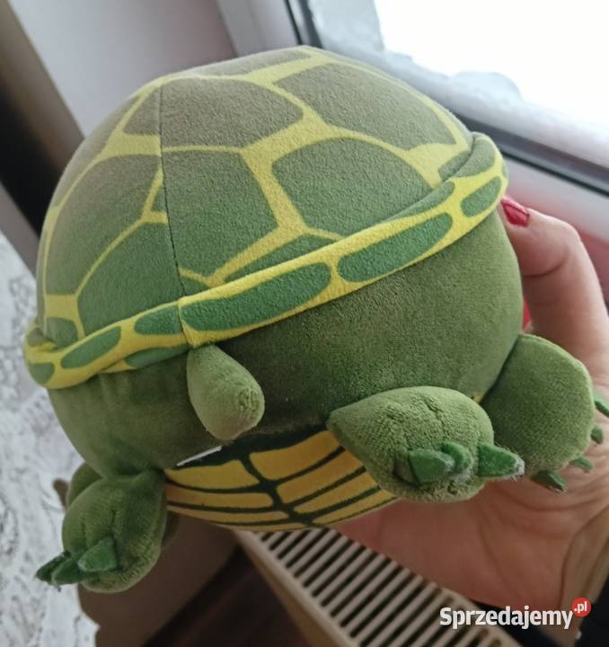 Maskotki różne rodzaje warmińsko-mazurskie Iława