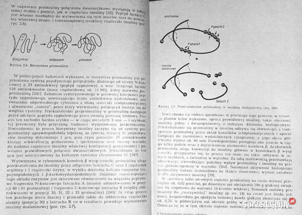 Farmakologiczne leczenie cukrzycy Teresa Chełm sprzedam
