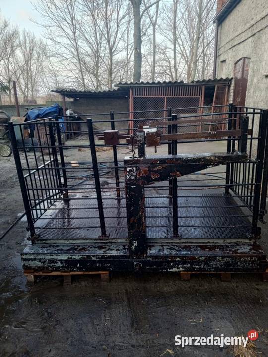 Waga żywca 1500 Meprozet Drzonówko