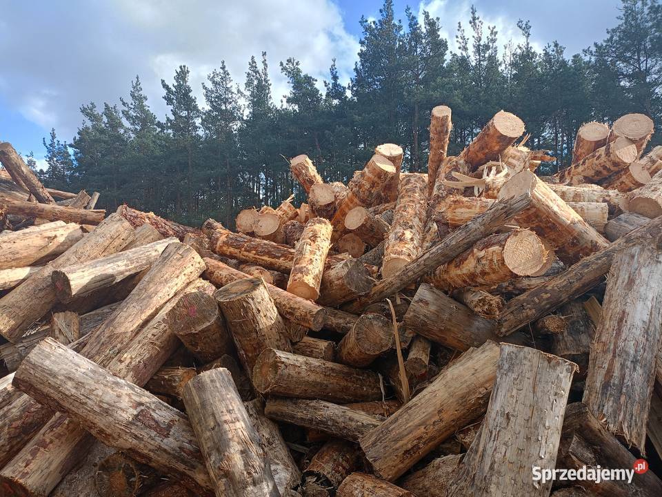 drewno opałowe okrąglak Krzepice
