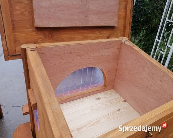 domk kotów Skierniewice