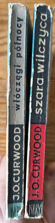 Zestaw trzech książek 1 Szara wilczyca miękka Sosnowiec