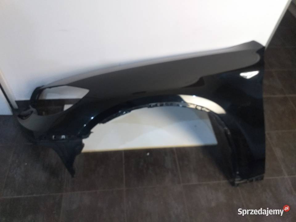 LEWY BLOTNIK Z SPRISKIWACZEM X6 E71 Skierniewice sprzedam