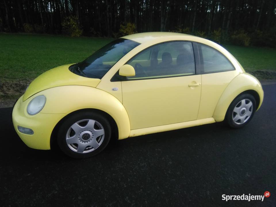 VW Beetle 19 Sieradz