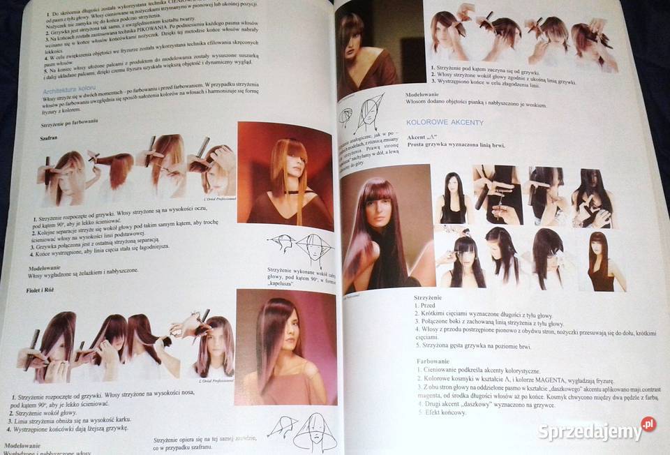 Stylizacja kolor forma styling Podręcznik Z Rok wydania 2004 Pozostałe Chełm