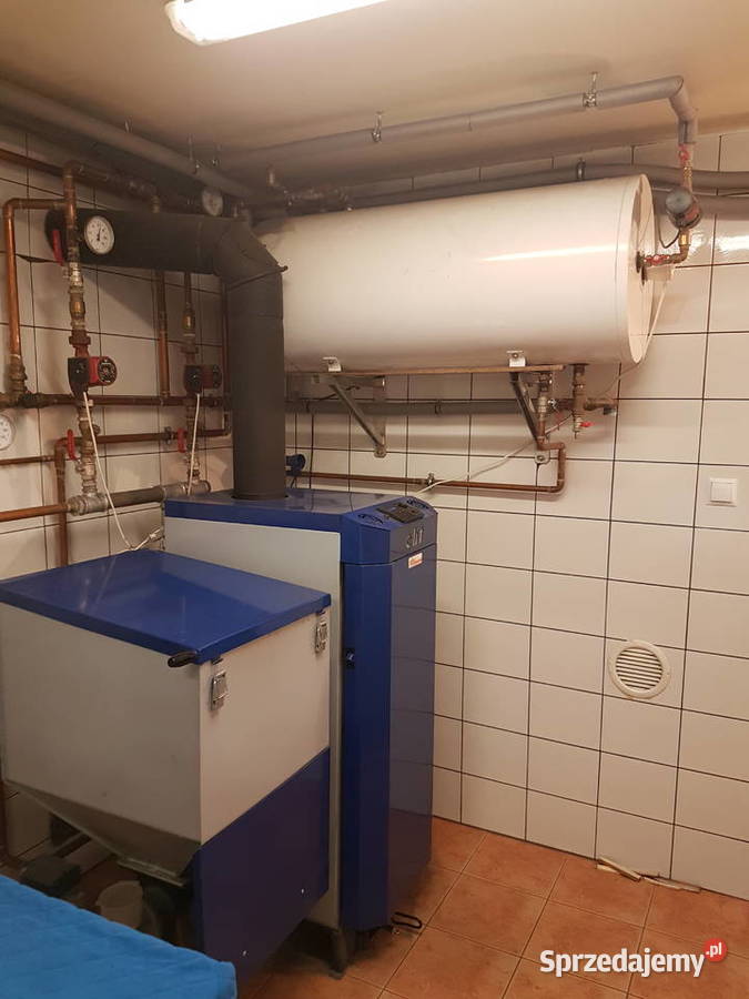 Sprzedam piec na ekogroszek CO CICHEWICZ futura Szewce sprzedam